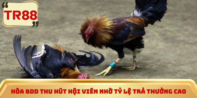 Hòa BDD thu hút hội viên nhờ tỷ lệ trả thưởng cao